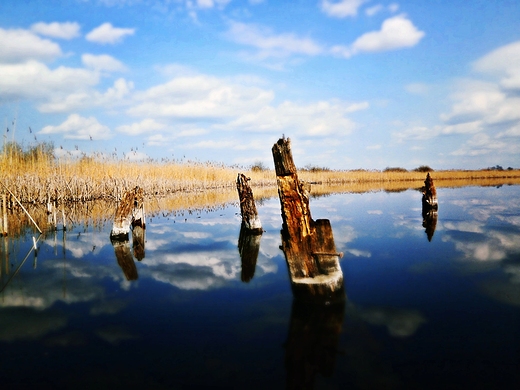 Jezioro Wereszczyskie